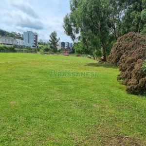 Terreno com 2546m², no bairro São Luiz em Caxias do Sul para Comprar