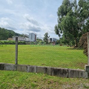 Terreno com 2546m², no bairro São Luiz em Caxias do Sul para Comprar