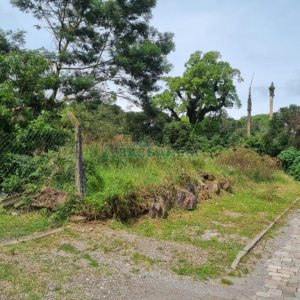 Terreno com 2546m², no bairro São Luiz em Caxias do Sul para Comprar