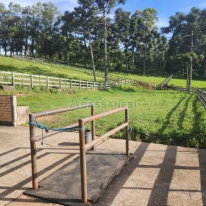 Chácara com 400m², 3 dormitórios, 4 vagas, no bairro De Lazzer em Caxias do Sul para Comprar