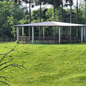 Chácara com 400m², 3 dormitórios, 4 vagas, no bairro De Lazzer em Caxias do Sul para Comprar