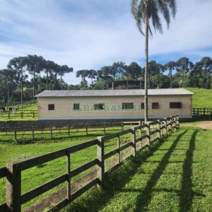 Chácara com 400m², 3 dormitórios, 4 vagas, no bairro De Lazzer em Caxias do Sul para Comprar