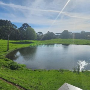 Chácara com 400m², 3 dormitórios, 4 vagas, no bairro De Lazzer em Caxias do Sul para Comprar
