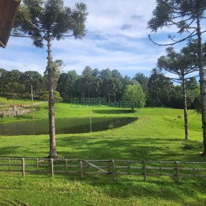 Chácara com 400m², 3 dormitórios, 4 vagas, no bairro De Lazzer em Caxias do Sul para Comprar
