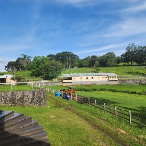 Chácara com 400m², 3 dormitórios, 4 vagas, no bairro De Lazzer em Caxias do Sul para Comprar