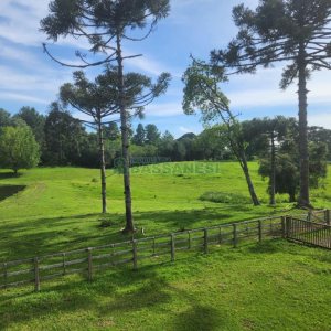 Chácara com 400m², 3 dormitórios, 4 vagas, no bairro De Lazzer em Caxias do Sul para Comprar