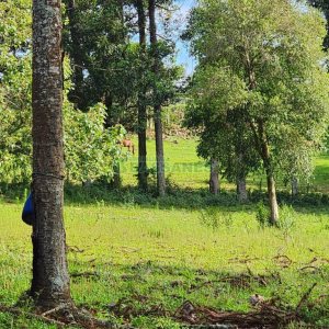 Chácara com 400m², 3 dormitórios, 4 vagas, no bairro De Lazzer em Caxias do Sul para Comprar