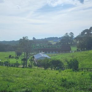 Chácara com 400m², 3 dormitórios, 4 vagas, no bairro De Lazzer em Caxias do Sul para Comprar