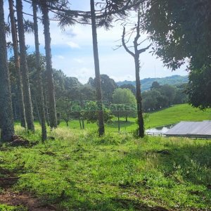 Chácara com 400m², 3 dormitórios, 4 vagas, no bairro De Lazzer em Caxias do Sul para Comprar