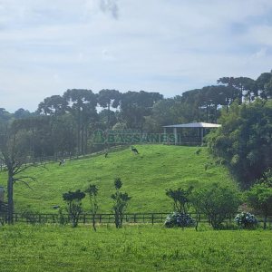 Chácara com 400m², 3 dormitórios, 4 vagas, no bairro De Lazzer em Caxias do Sul para Comprar