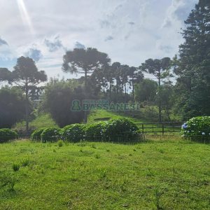 Chácara com 400m², 3 dormitórios, 4 vagas, no bairro De Lazzer em Caxias do Sul para Comprar