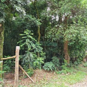 Terreno com 5000m², no bairro 3 Legua em Caxias do Sul para Comprar