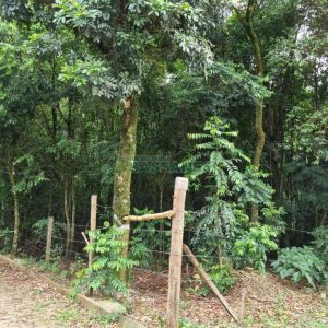 Terreno com 5000m², no bairro 3 Legua em Caxias do Sul para Comprar