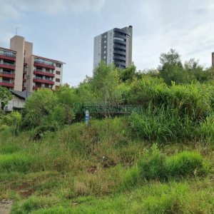 Terreno com 1185m², no bairro São Leopoldo em Caxias do Sul para Comprar