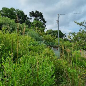 Terreno com 1185m², no bairro São Leopoldo em Caxias do Sul para Comprar
