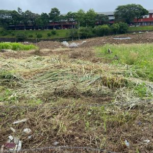 Terreno com 360m², no bairro Cidade Nova em Caxias do Sul para Alugar