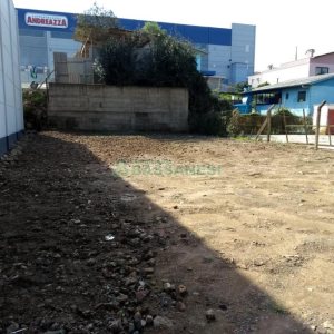 Terreno com 360m², no bairro Cidade Nova em Caxias do Sul para Alugar