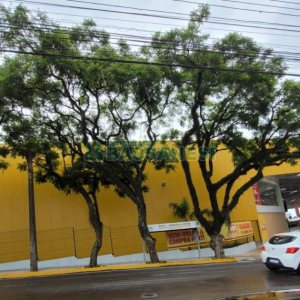 Terreno com 410m², no bairro Exposição em Caxias do Sul para Comprar
