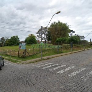 Terreno com 16568m², no bairro Nossa Senhora de Lourdes em Caxias do Sul para Comprar