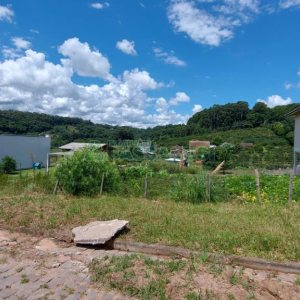 Terreno com 333m², no bairro Monte Bérico em Caxias do Sul para Comprar