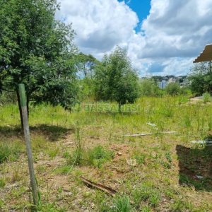 Terreno com 330m², no bairro De Zorzi em Caxias do Sul para Comprar