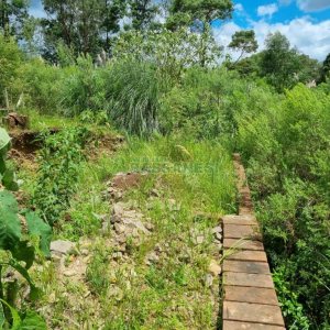 Terreno com 330m², no bairro De Zorzi em Caxias do Sul para Comprar