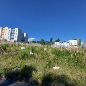 Terreno com 360m², no bairro São Luiz em Caxias do Sul para Comprar