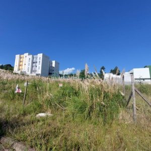 Terreno com 360m², no bairro São Luiz em Caxias do Sul para Comprar
