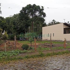 Terreno com 713m², no bairro Petrópolis em Caxias do Sul para Alugar