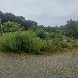 Terreno com 360m², no bairro Desvio Rizzo em Caxias do Sul para Comprar