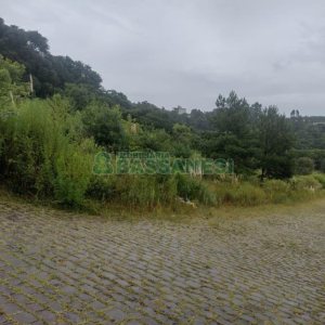 Terreno com 360m², no bairro Desvio Rizzo em Caxias do Sul para Comprar