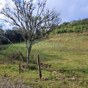 Chácara, no bairro 3 Legua em Caxias do Sul para Comprar