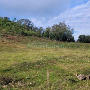 Chácara, no bairro 3 Legua em Caxias do Sul para Comprar