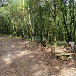 Chácara, no bairro Galópolis em Caxias do Sul para Comprar