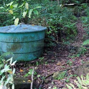 Chácara, no bairro Galópolis em Caxias do Sul para Comprar