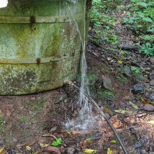 Chácara, no bairro Galópolis em Caxias do Sul para Comprar