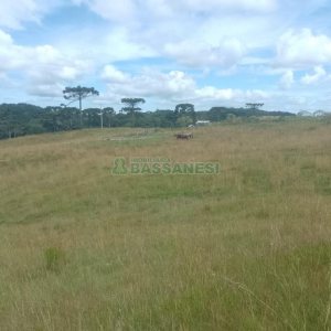 Chácara, no bairro Vila Seca em Caxias do Sul para Comprar