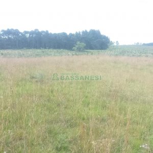 Chácara, no bairro Vila Seca em Caxias do Sul para Comprar