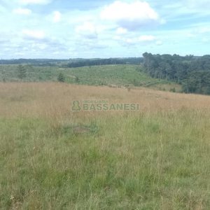 Chácara, no bairro Vila Seca em Caxias do Sul para Comprar