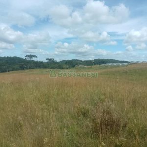 Chácara, no bairro Vila Seca em Caxias do Sul para Comprar