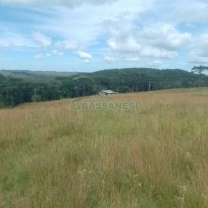 Chácara, no bairro Vila Seca em Caxias do Sul para Comprar