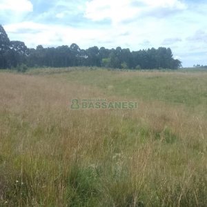 Chácara, no bairro Vila Seca em Caxias do Sul para Comprar