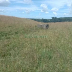 Chácara, no bairro Vila Seca em Caxias do Sul para Comprar