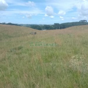 Chácara, no bairro Vila Seca em Caxias do Sul para Comprar