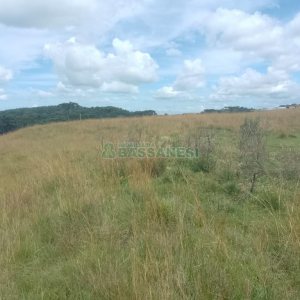 Chácara, no bairro Vila Seca em Caxias do Sul para Comprar