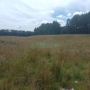 Chácara, no bairro Vila Seca em Caxias do Sul para Comprar