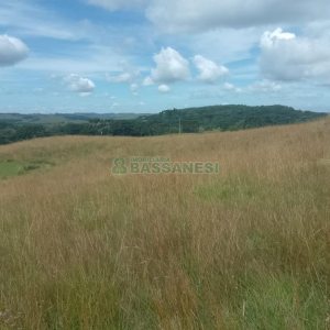 Chácara, no bairro Vila Seca em Caxias do Sul para Comprar