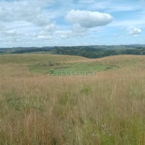 Chácara, no bairro Vila Seca em Caxias do Sul para Comprar