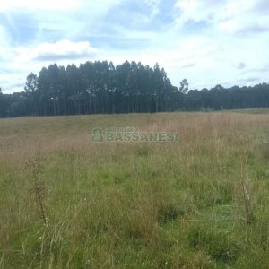 Chácara, no bairro Vila Seca em Caxias do Sul para Comprar