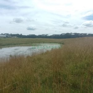 Chácara, no bairro Vila Seca em Caxias do Sul para Comprar